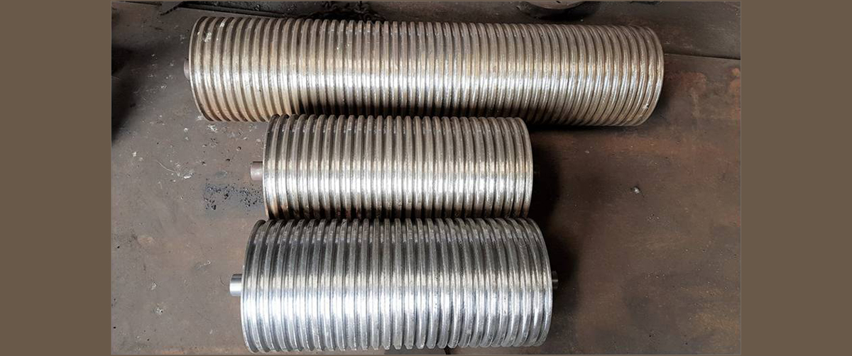 Special Trolly & Carrige for Vulcanizer